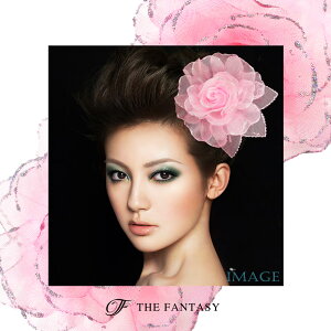 RT[W tH[} w    ݌Ɉ|Z[ 킢 V[  fh12037pksr