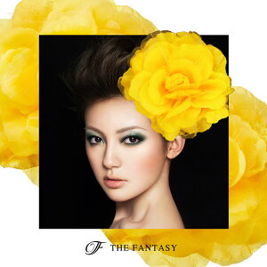 RT[W tH[} w    ݌Ɉ|Z[ 킢 V[  fh12047yw