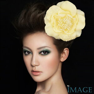 RT[W tH[} w    ݌Ɉ|Z[ 킢 V[  fh19120yw