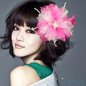 RT[W tH[} w    ݌Ɉ|Z[ 킢 V[  fh19121pkwe