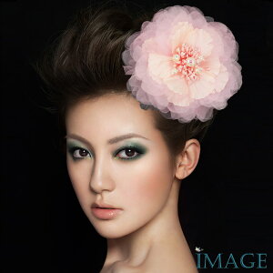 RT[W tH[} w    ݌Ɉ|Z[ 킢 V[  fh19122pk