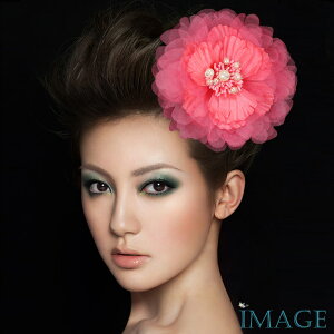 RT[W tH[} w    ݌Ɉ|Z[ 킢 V[  fh19122xrd