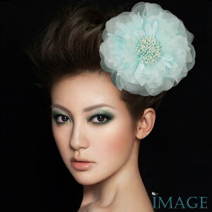 RT[W tH[} w    ݌Ɉ|Z[ 킢 V[  fh19128be