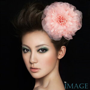 RT[W tH[} w    ݌Ɉ|Z[ 킢 V[  fh19128pk