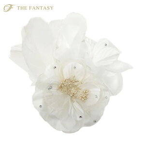 RT[W tH[} w    ݌Ɉ|Z[ 킢 V[  fh19132we