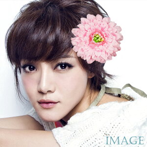 RT[W tH[} w    ݌Ɉ|Z[ 킢 V[  fh19138pk