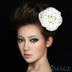 RT[W tH[} w    ݌Ɉ|Z[ 킢 V[  fh19155cm