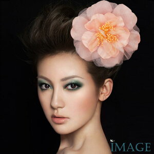 RT[W tH[} w    ݌Ɉ|Z[ 킢 V[  fh7001spk