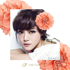 RT[W tH[} w    ݌Ɉ|Z[ 킢 V[  fh7003spk