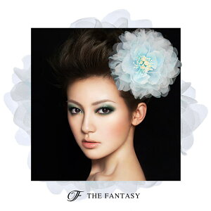 RT[W tH[} w    ݌Ɉ|Z[ 킢 V[  fh7005be