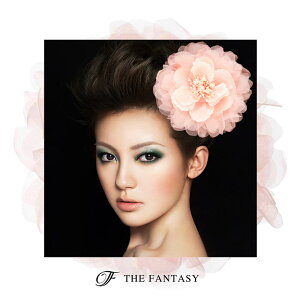 RT[W tH[} w    ݌Ɉ|Z[ 킢 V[  fh7005bpk