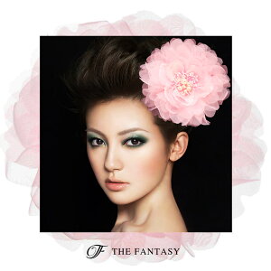 RT[W tH[} w    ݌Ɉ|Z[ 킢 V[  fh7005pk