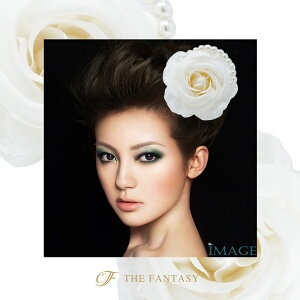 RT[W tH[} w    ݌Ɉ|Z[ 킢 V[  fh7008we