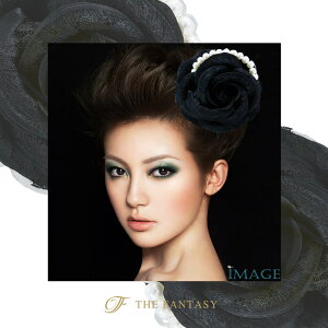 RT[W tH[} w    ݌Ɉ|Z[ 킢 V[  fh7009bk