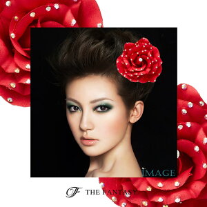 RT[W tH[} w    ݌Ɉ|Z[ 킢 V[  fh7010rd