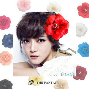 RT[W tH[} w    ݌Ɉ|Z[ 킢 V[  fh7011rd