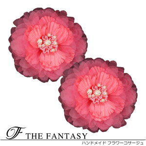 RT[W 2Zbg tH[} w   ݌Ɉ|Z[ 킢 V[  fh19122xrd2set