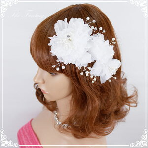 wbhhX t \ ԉΑ  Ղ ݌Ɉ|Z[ v[g Ώfhds010we