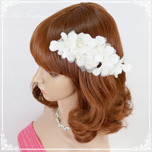 wbhhX t \ ԉΑ  Ղ ݌Ɉ|Z[ v[g Ώfhds015we