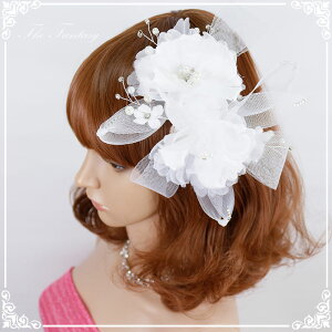 wbhhX t \ ԉΑ  Ղ ݌Ɉ|Z[ v[g Ώfhds019we