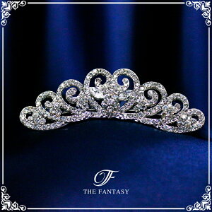 eBA  EGfBO I uC_ tiara ԉ  ݌Ɉ|Z[v[g Ώ ft403sr