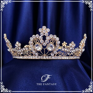 eBA  EGfBO I uC_ tiara ԉ  ݌Ɉ|Z[v[g Ώ ft7107gd