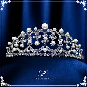 eBA  EGfBO I uC_ tiara ԉ  ݌Ɉ|Z[v[g Ώ ft8011plsr