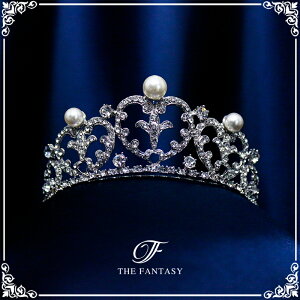 eBA  EGfBO I uC_ tiara ԉ  ݌Ɉ|Z[v[g Ώ ft8024plsr