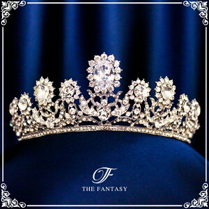 eBA  EGfBO I uC_ tiara ԉ  ݌Ɉ|Z[v[g Ώ ft8041sr