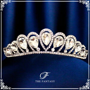 eBA  EGfBO I uC_ tiara ԉ  ݌Ɉ|Z[v[g Ώ ft8043sr