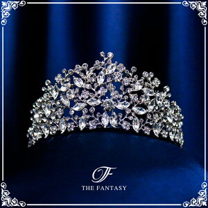 eBA  EGfBO I uC_ tiara ԉ  ݌Ɉ|Z[v[g Ώ ft8048sr