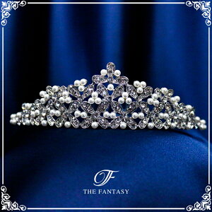 eBA  EGfBO I uC_ tiara ԉ  ݌Ɉ|Z[v[g Ώ ft8111plsr