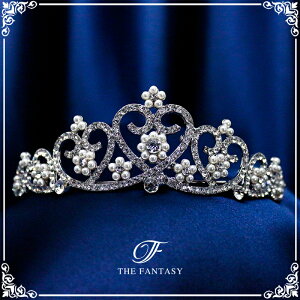 eBA  EGfBO I uC_ tiara ԉ  ݌Ɉ|Z[킢 ^gD[V[ 撆 ft8113plsr