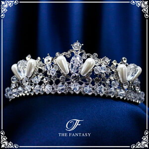 eBA  EGfBO I uC_ tiara ԉ  ݌Ɉ|Z[킢 ^gD[V[ 撆 ft8119plsr