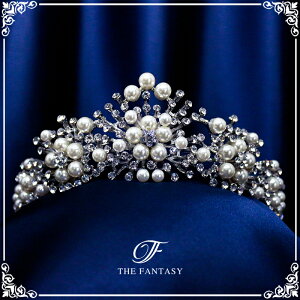 eBA  EGfBO I uC_ tiara ԉ  ݌Ɉ|Z[킢 ^gD[V[ 撆 ft8121plsr