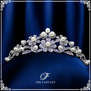 eBA  EGfBO I uC_ tiara ԉ  ݌Ɉ|Z[킢 ^gD[V[ 撆 ft8122plsr