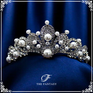 eBA  EGfBO I uC_ tiara ԉ  ݌Ɉ|Z[킢 ^gD[V[ 撆 ft8125plsr