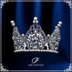 eBA  EGfBO I uC_ tiara ԉ  ݌Ɉ|Z[킢 ^gD[V[ 撆 ft8126plsr