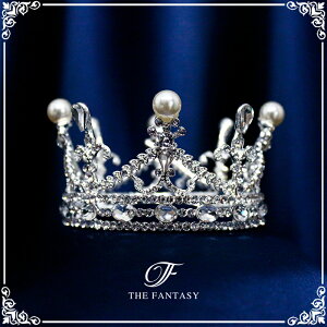 eBA  EGfBO I uC_ tiara ԉ  ݌Ɉ|Z[킢 ^gD[V[ 撆 ft8127plsr