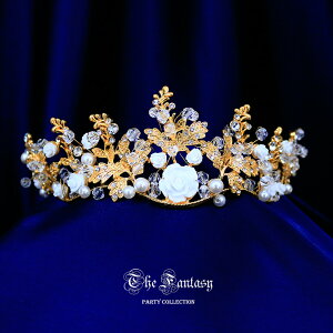 eBA  EGfBO I uC_ tiara ԉ  ݌Ɉ|Z[킢 ^gD[V[ 撆 ft8132plgd