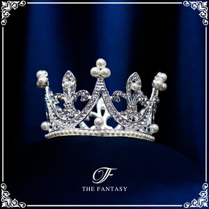 eBA  EGfBO I uC_ tiara ԉ  ݌Ɉ|Z[킢 ^gD[V[ 撆 ft8134plsr