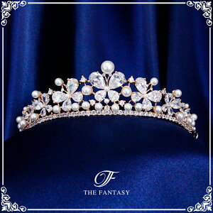 eBA  EGfBO I uC_ tiara ԉ  ݌Ɉ|Z[킢 ^gD[V[ 撆 ft8211plgd