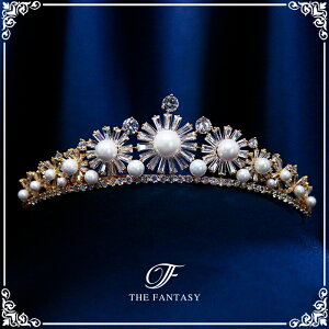 eBA  EGfBO I uC_ tiara ԉ  ݌Ɉ|Z[킢 ^gD[V[ 撆 ft8212plgd