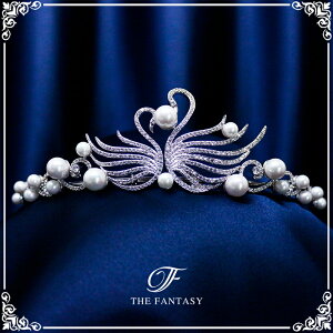 eBA  EGfBO I uC_ tiara ԉ  ݌Ɉ|Z[킢 ^gD[V[ 撆 ft8215plsr