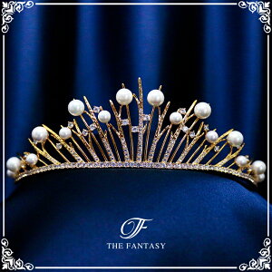 eBA  EGfBO I uC_ tiara ԉ  ݌Ɉ|Z[킢 ^gD[V[ 撆 ft8217plgd