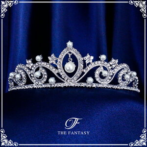 eBA  EGfBO I uC_ tiara ԉ  ݌Ɉ|Z[킢 ^gD[V[ 撆 ft9017plsr