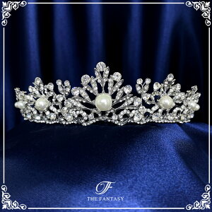 eBA  EGfBO I uC_ tiara ԉ  ݌Ɉ|Z[킢 ^gD[V[ 撆 ft9020plsr