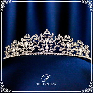 eBA  EGfBO I uC_ tiara ԉ  ݌Ɉ|Z[킢 ^gD[V[ 撆 ft9037sr