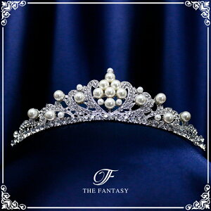 eBA  EGfBO I uC_ tiara ԉ  ݌Ɉ|Z[킢 ^gD[V[ 撆 ft9059plsr