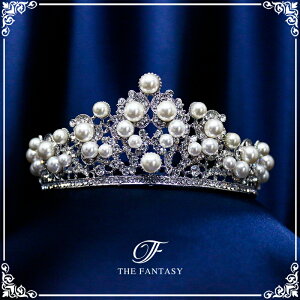 eBA  EGfBO I uC_ tiara ԉ  ݌Ɉ|Z[킢 ^gD[V[ 撆 ft9060plsr